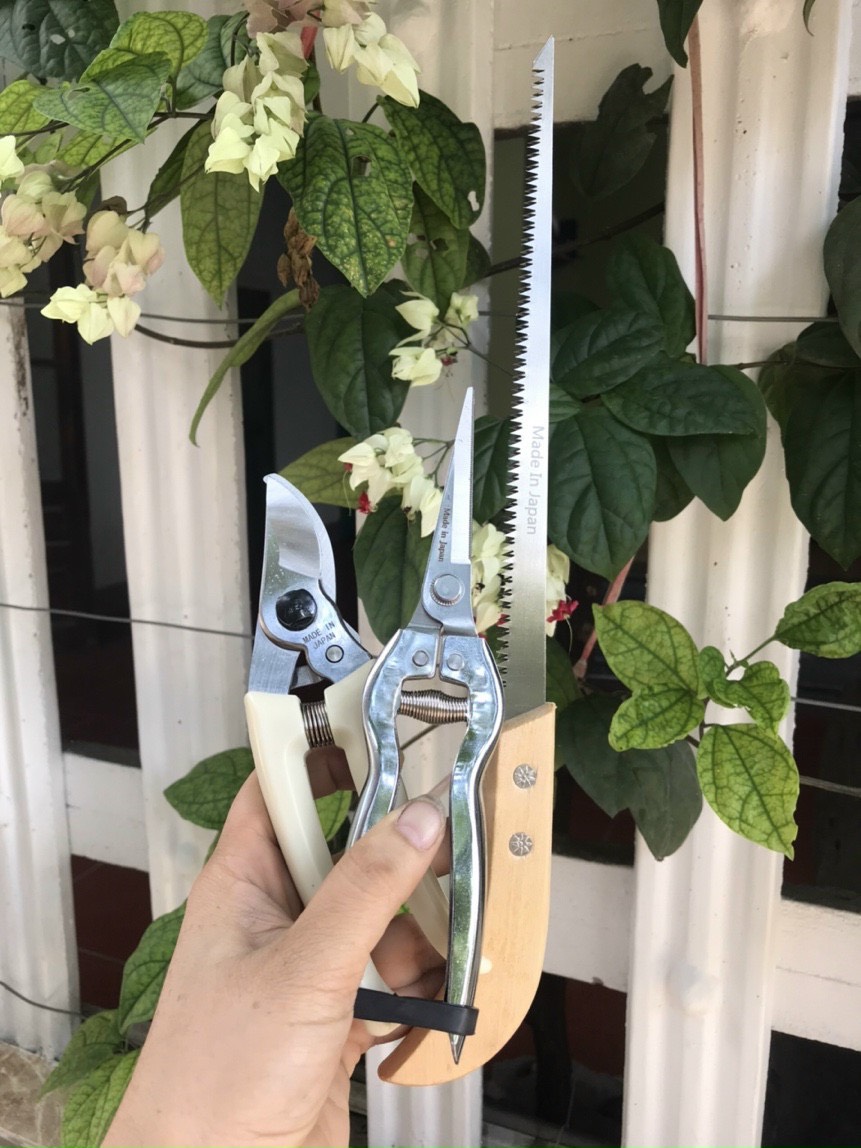 SET Bộ 3 Dụng Cụ Cắt Tỉa Cây Cảnh, Bonsai Hàng Nhật Bản