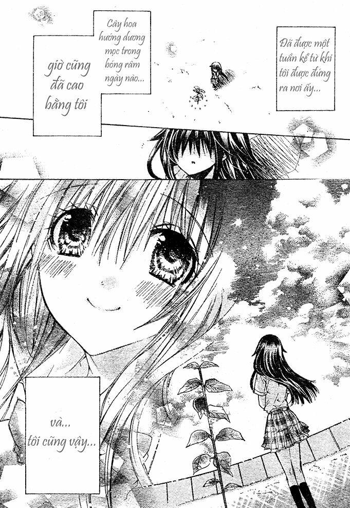 kokoni iru yo chapter 9 5