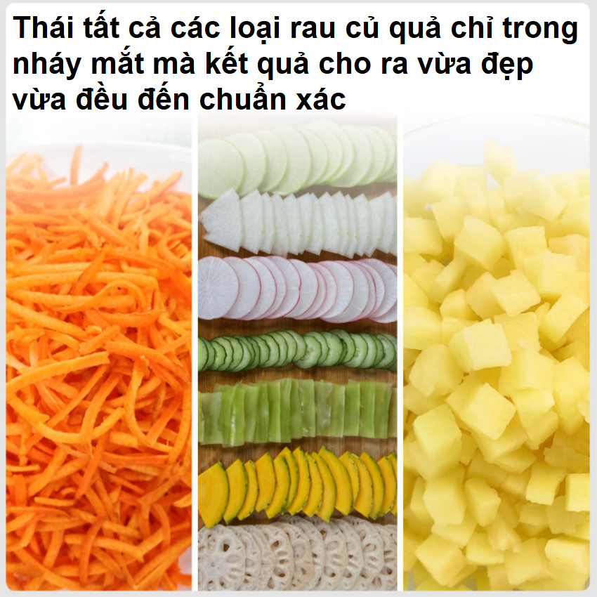 Máy thái rau củ quả công nghiệp chuyên nghiệp dùng cho nhà hàng, khách sạn thương hiệu Asaki VC65MS - Hàng nhập khẩu