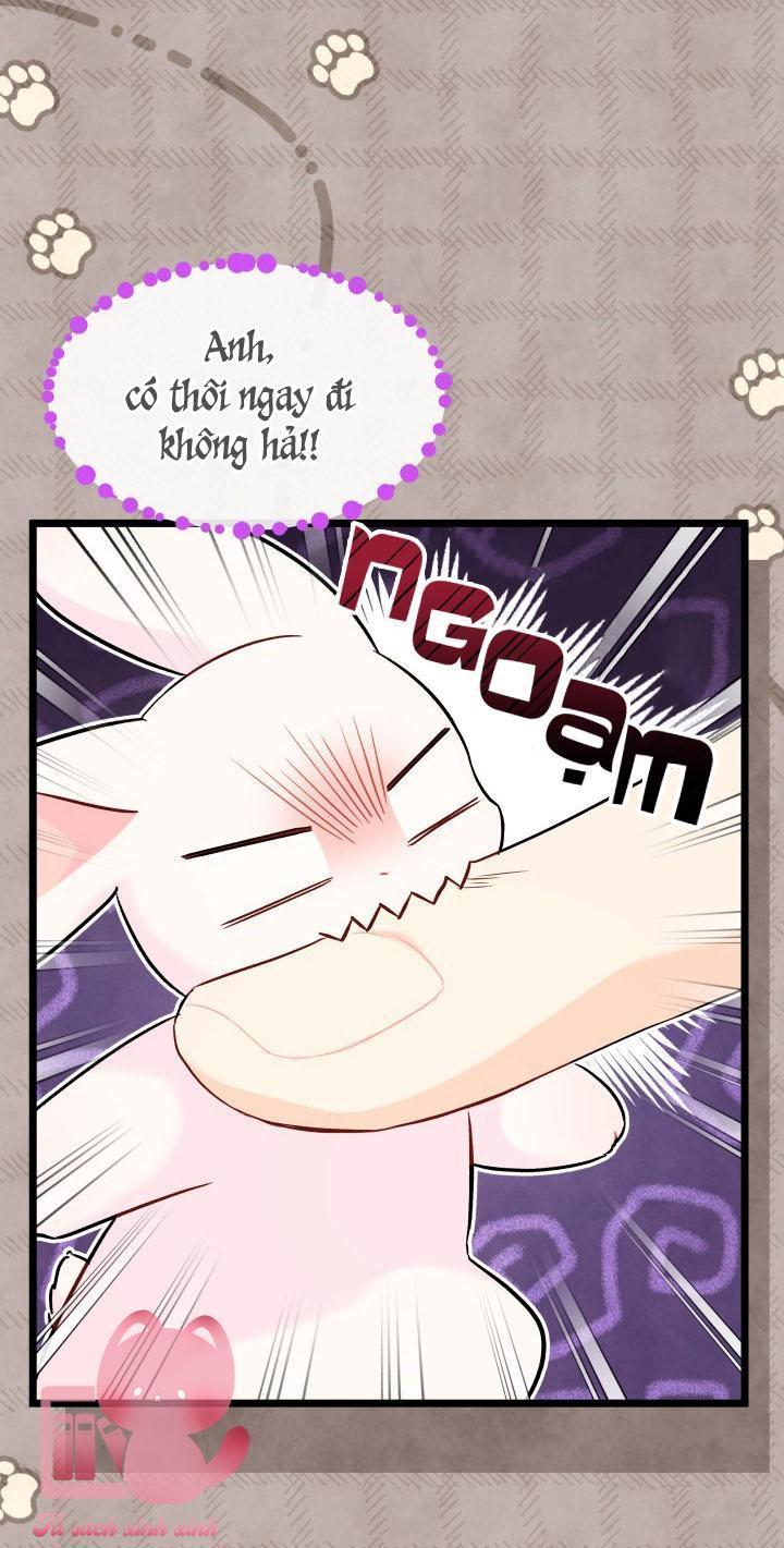 quan hệ cộng sinh giữa báo đen và thỏ trắng chapter 97 60