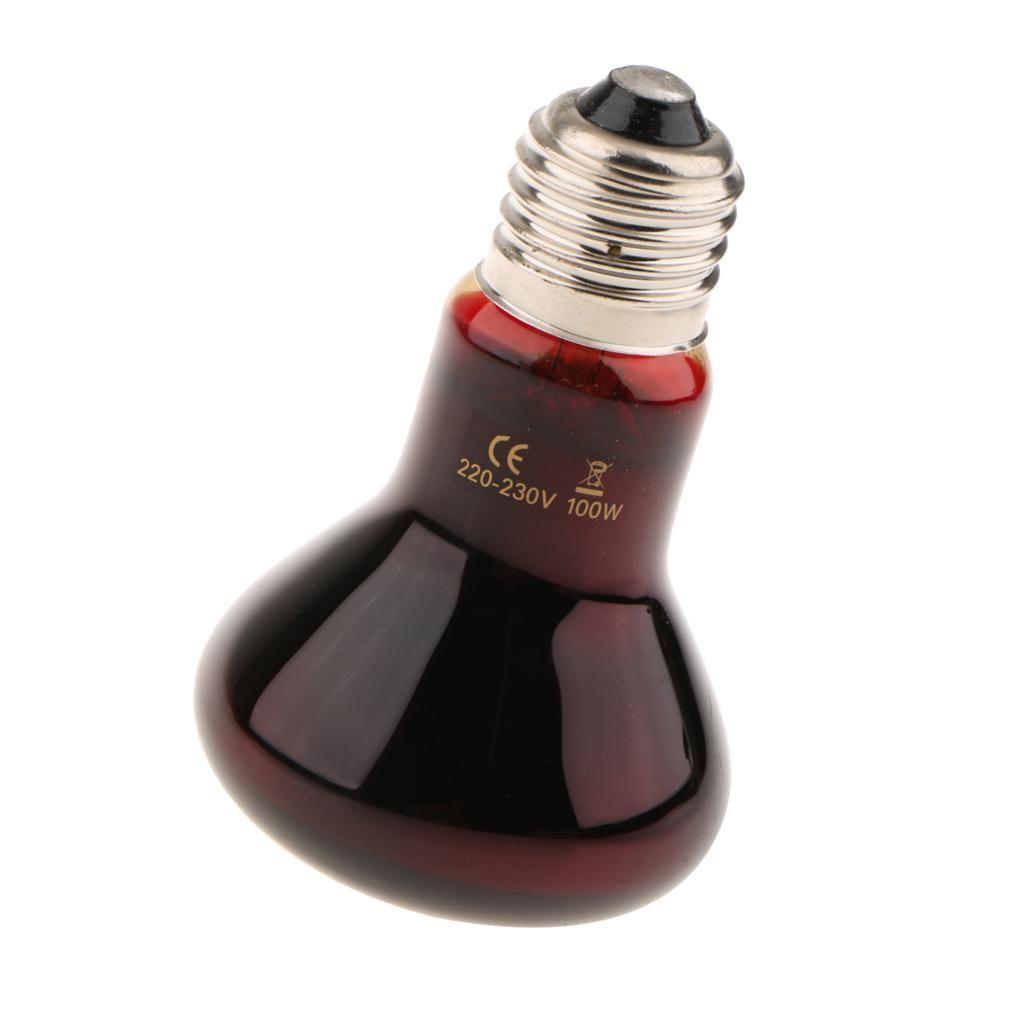 220V Reptile UVA Heat Light Bulb Night View E27 Heating Lamp-UK Plug
