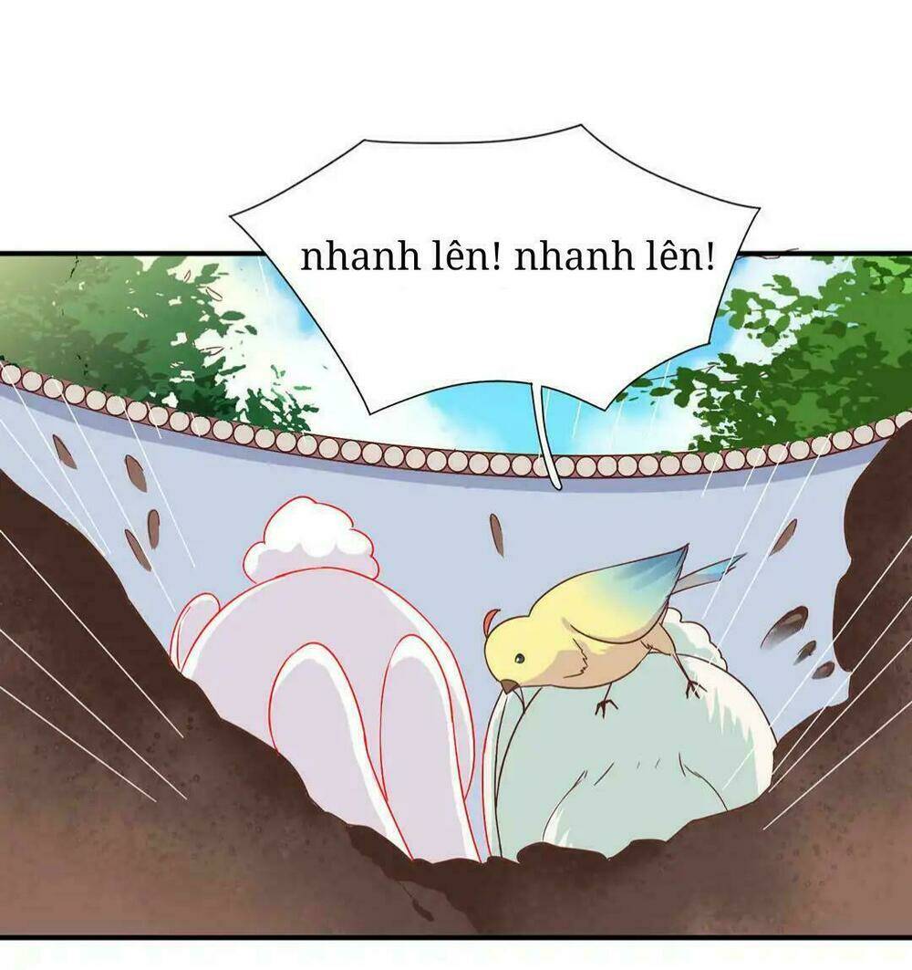 phi thiên địch tự dưỡng đích khẩu tử chapter 25 10