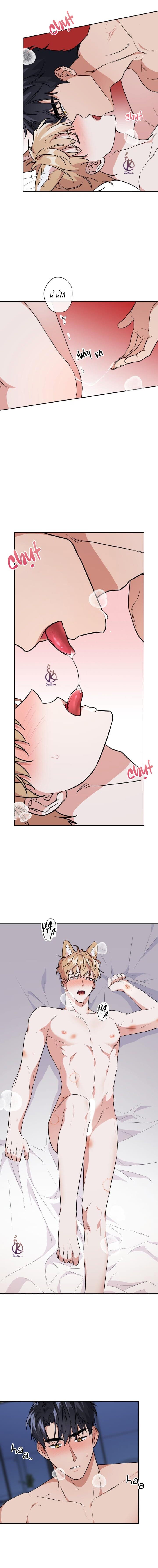 mồi nhử chapter 62 9