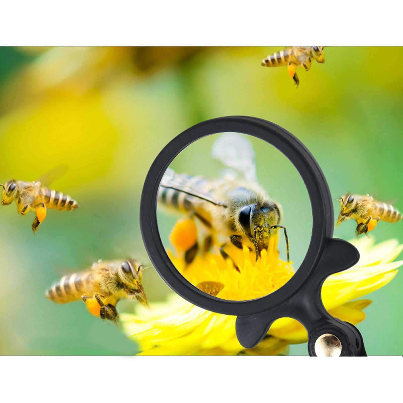 64mm Portable Mini Handheld Reading Magnifying Glass Tool