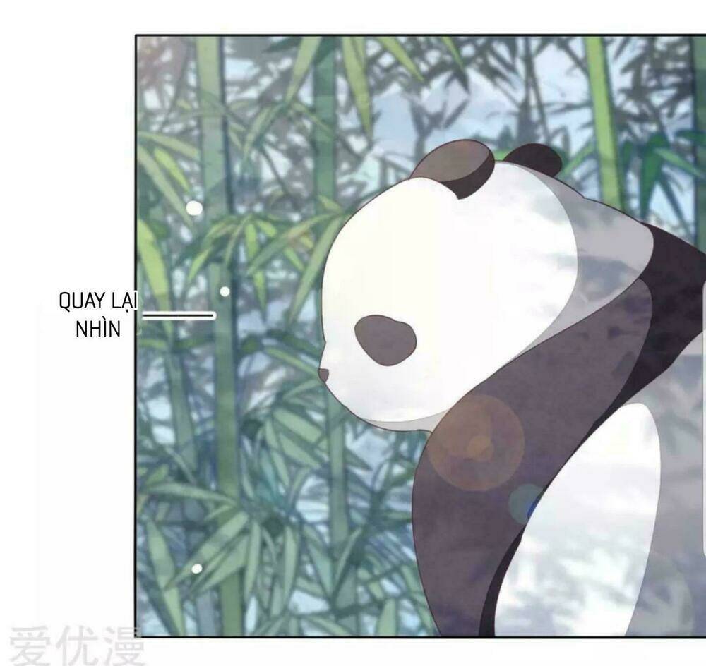 xuyên về cổ đại làm quốc bảo chapter 6 29