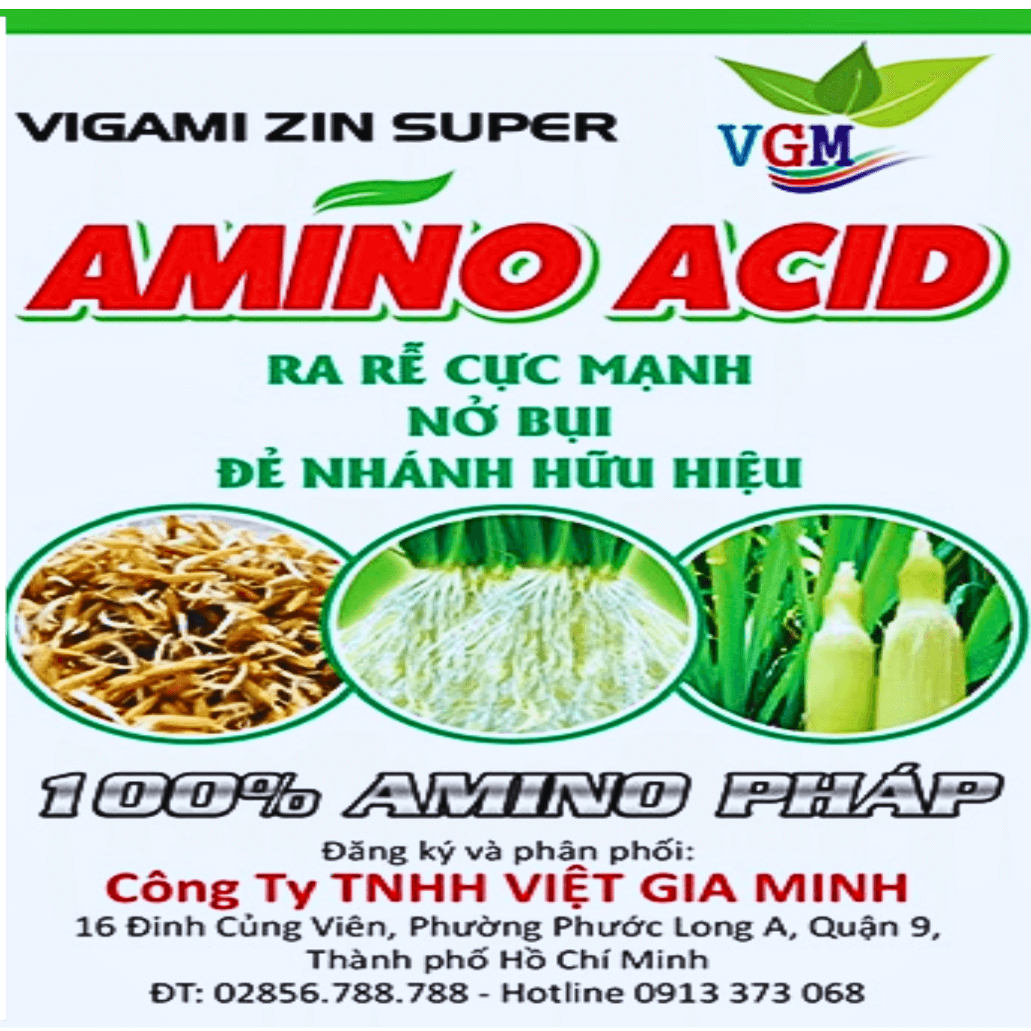 Phân bón VIGAMI ZINSUPER – amino acid 500ML