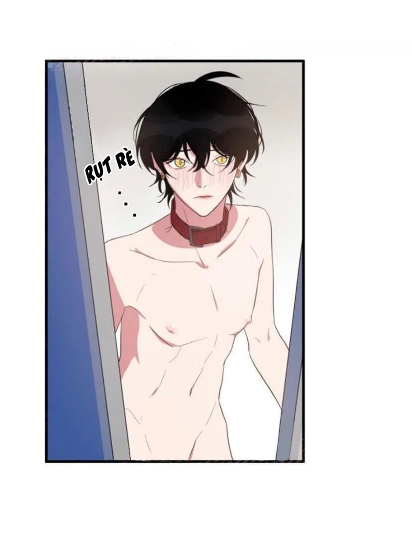 người tình dâm đãng của tôi chapter 10 9