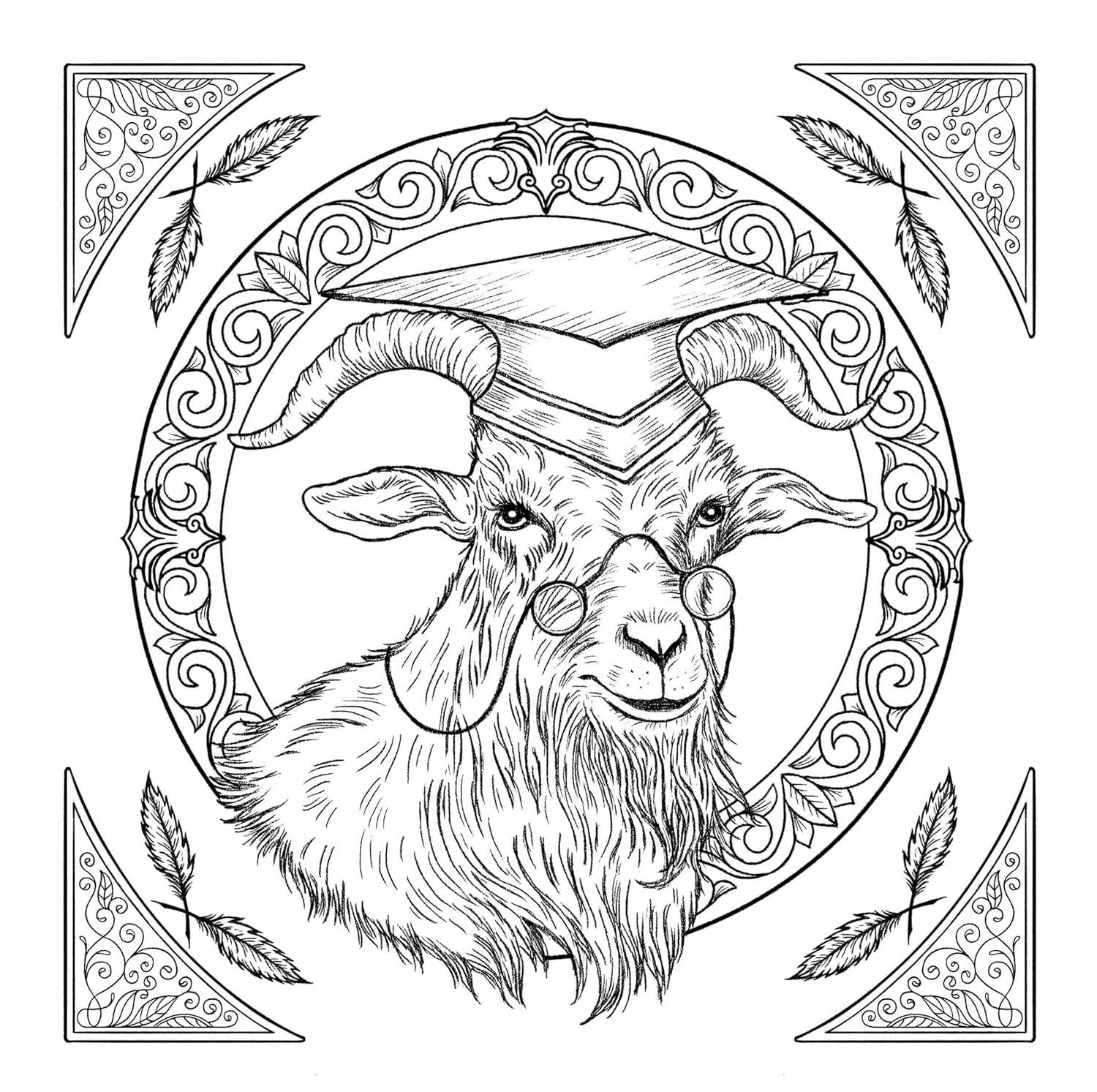 Sách ngoại văn: Wicked Film Official Coloring Book