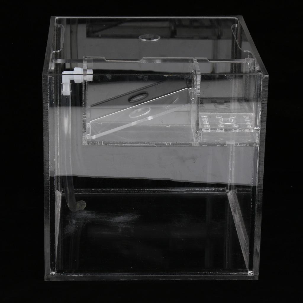 Tropical Betta  Mini Tank Arcylic Aquarium Small  Tank