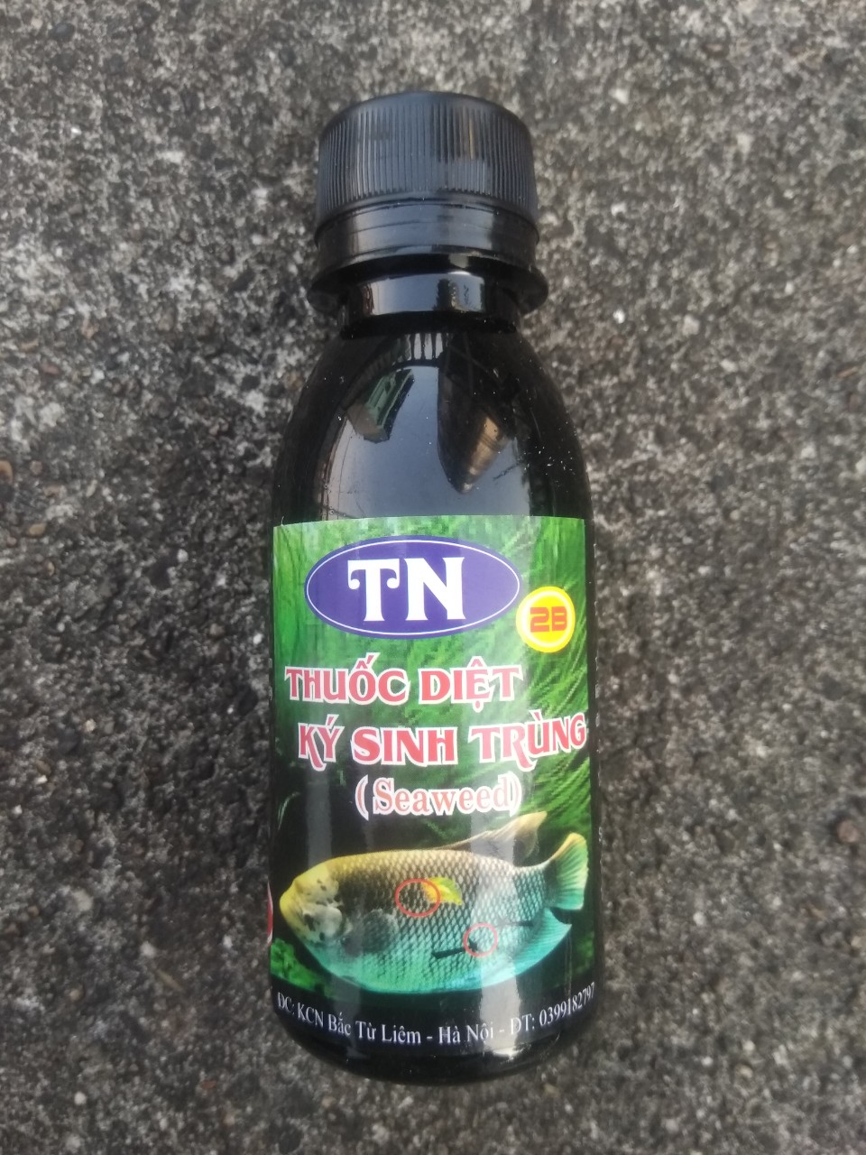Thuốc TN 2B Seaweed - Thuốc Diệt Ký Sinh Trùng Ở Cá & Diệt Khuẩn, Diệt Tảo Trong Nước 100ml