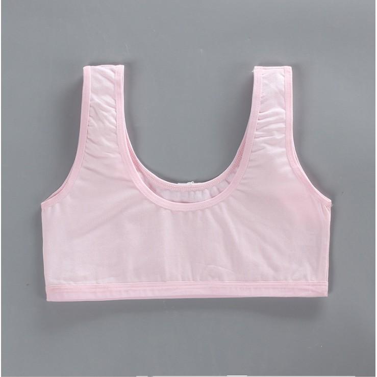 Hình ảnh Bra / Áo Lá Học Sinh Hai Lớp Cotton Xuất Hàn ( AL : 176 ) Hàng Loại Đẹp.