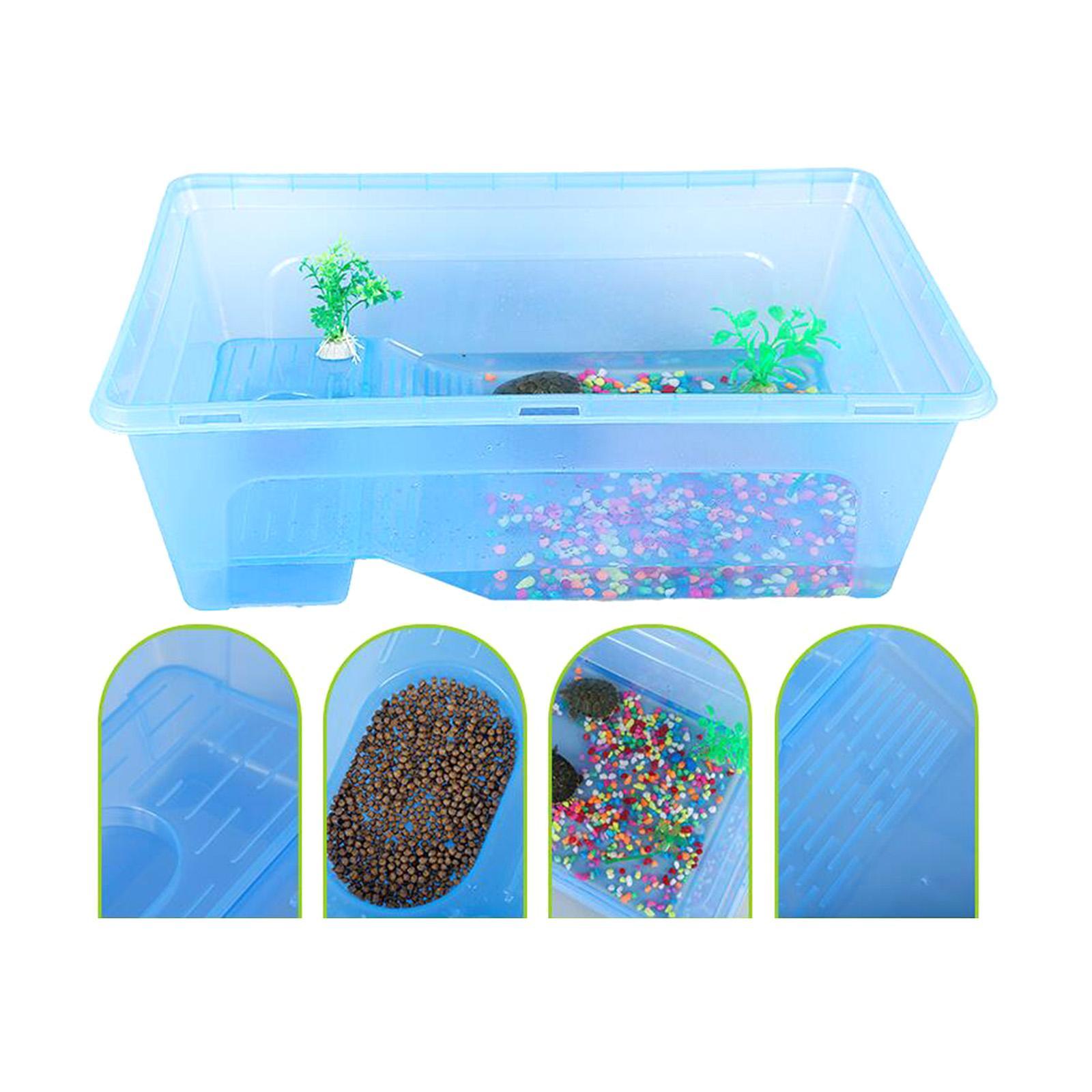 Reptile Habitat Box Turtles Tank Aquarium for Frog Tortoises Hermit Crabs