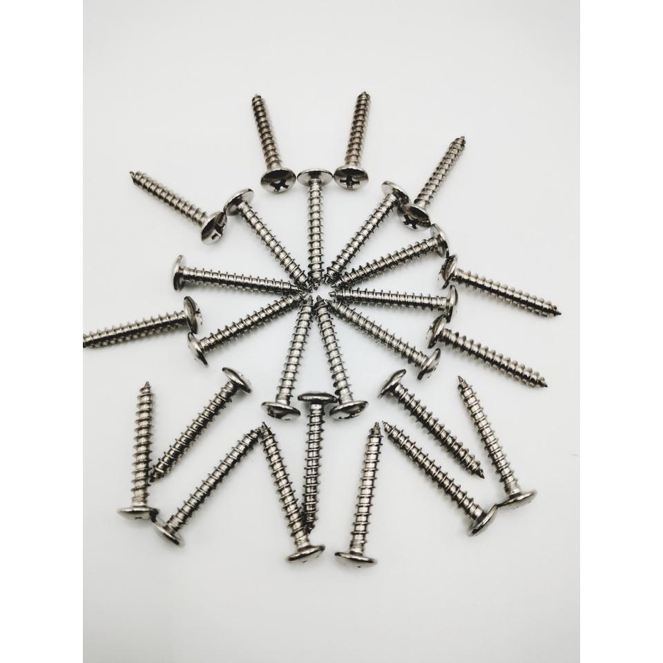 ỐC VÍT ĐẦU DÙ INOX COMBO 20 CON,BẮN TƯỜNG ,BÊ TÔNG ,GỖ, 4.0 x 25mm,CHẮC CHẮN.