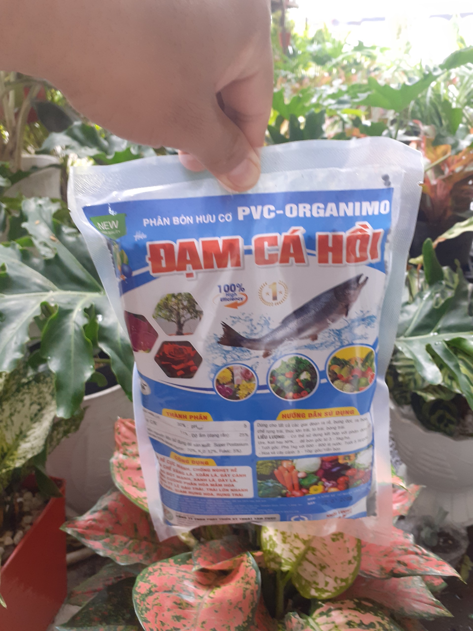 Đạm cá hồi phân bón hữu cơ