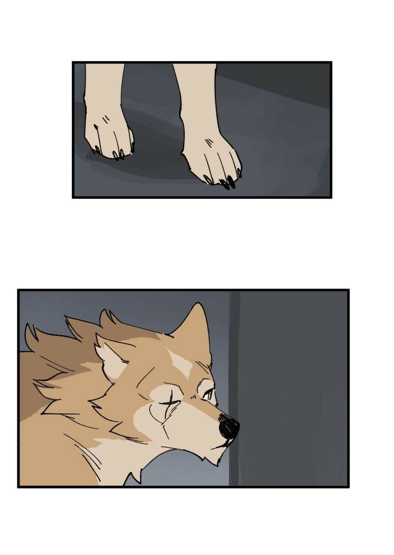 lumine - cội nguồn ánh sáng chapter 148 21