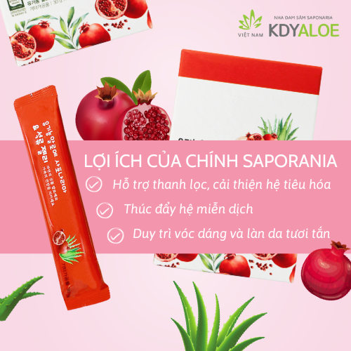 KDY ALOE - THẠCH COLLAGEN NHA ĐAM SAPONARIA LỰU ĐỎ HỮU CƠ