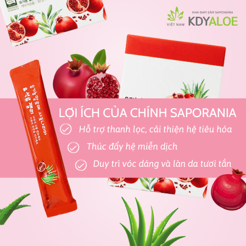 KDY ALOE - THẠCH COLLAGEN NHA ĐAM SAPONARIA LỰU ĐỎ HỮU CƠ (hộp 10 gói)