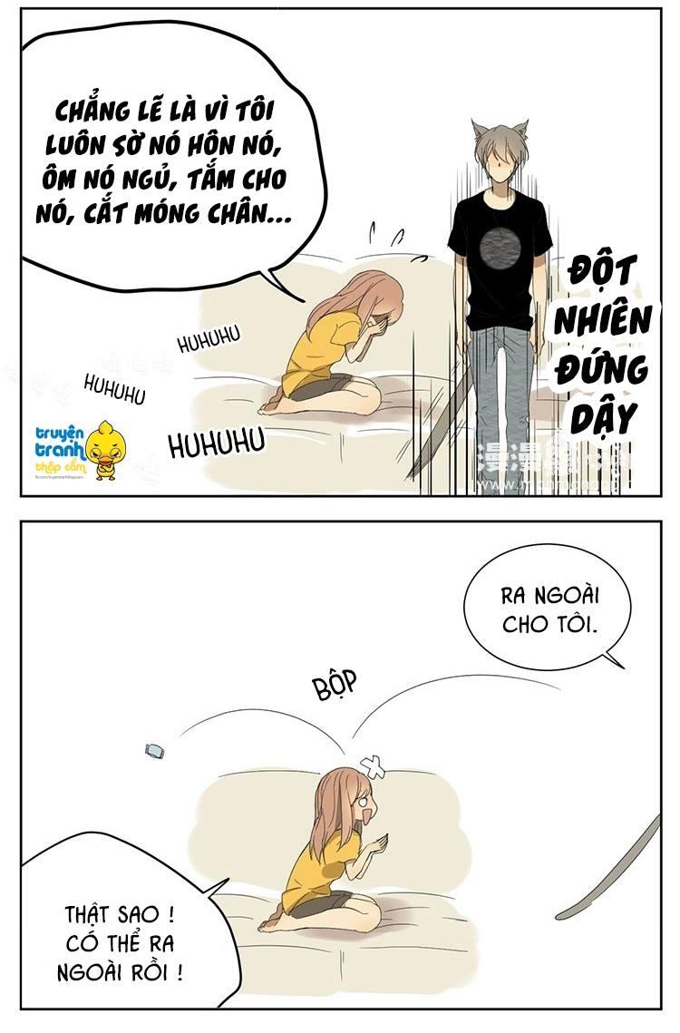 cứu mạng ! loài mèo thống trị thế giới rồi ! chapter 11 15