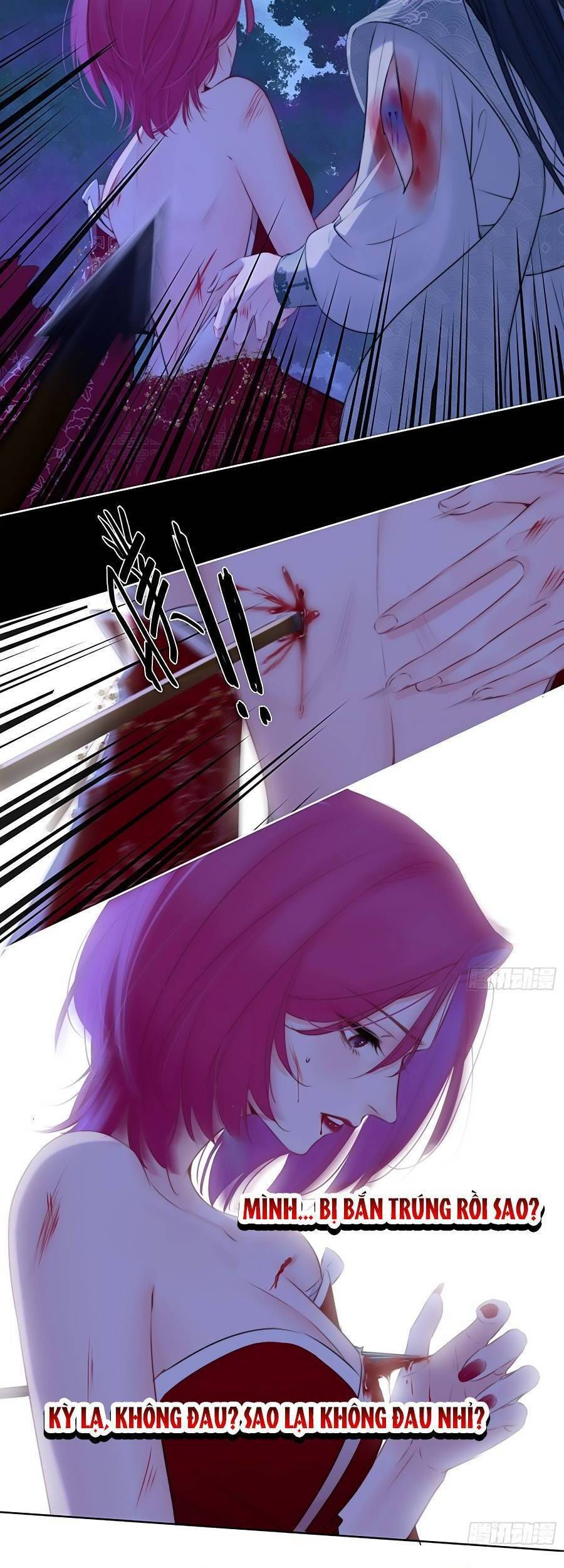 kim ốc tàng kiều chapter 78 31