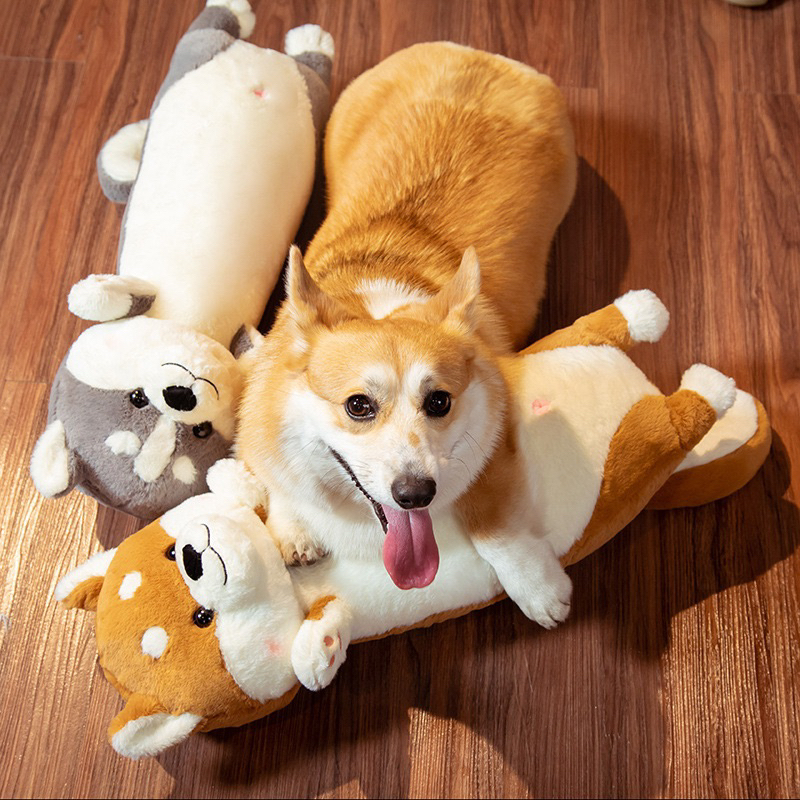 Thú nhồi bông husky chất liệu lông thỏ siêu mịn - Size từ 65cm đến 1m2 - Quà tặng gấu bông shiba dài ôm ngủ thoải mái hình chó ngáo
