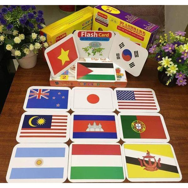 Thẻ học thông minh cho bé size to 19 chủ đề - Bộ thẻ học thông minh cho bé chuẩn phương pháp Glenn Doman