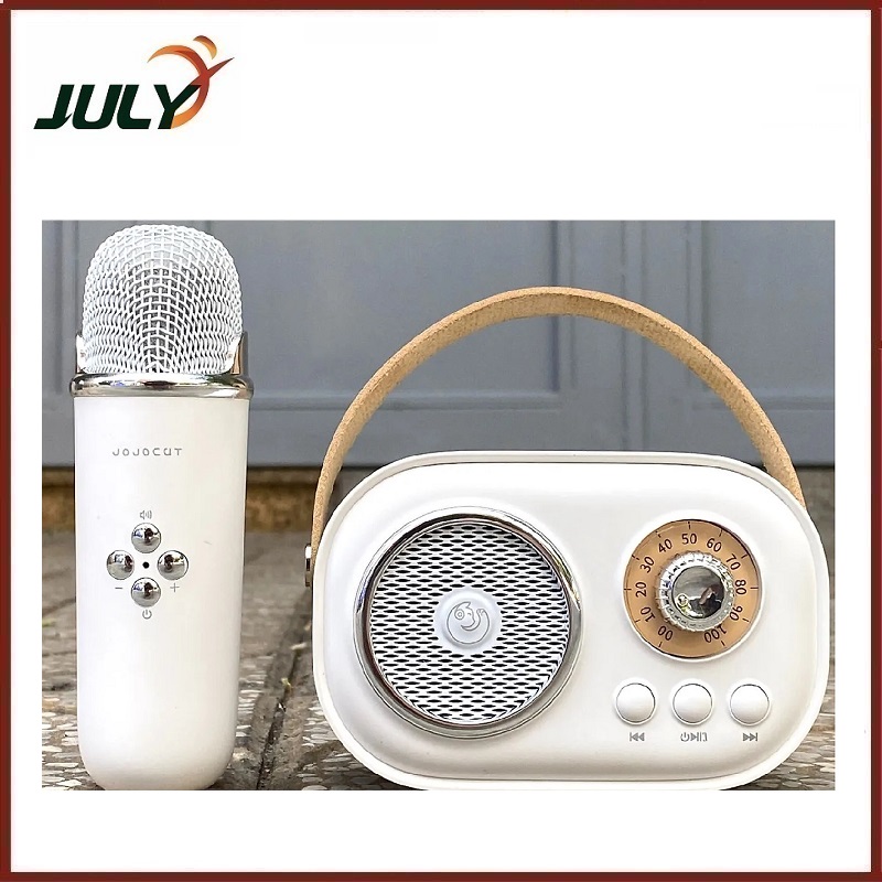 LOA BLUETOOH KARAOKE MINI C20 PLUS KÈM 1 MIC - JL