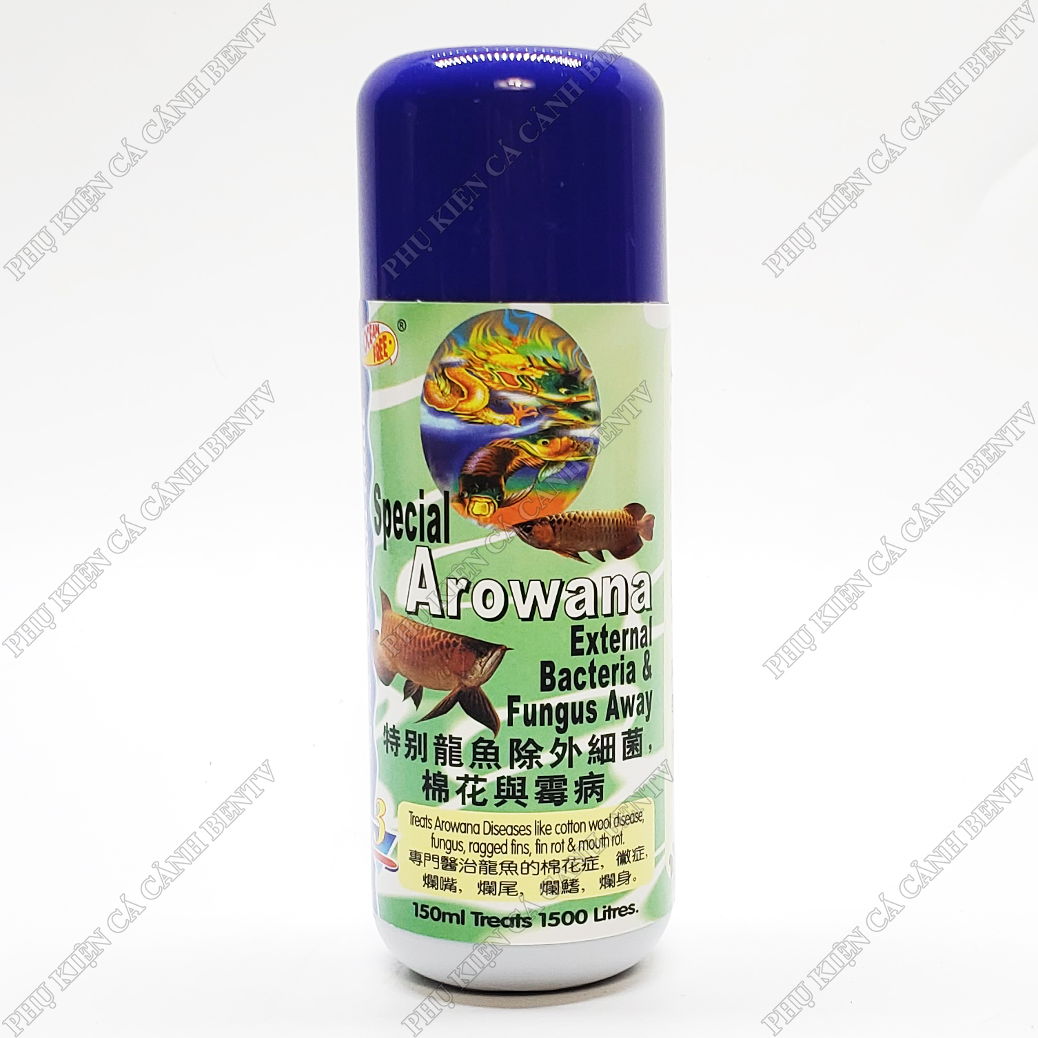 Chai Số 3 Diệt Khuẩn Thối Mang Vay Cho Cá Rồng