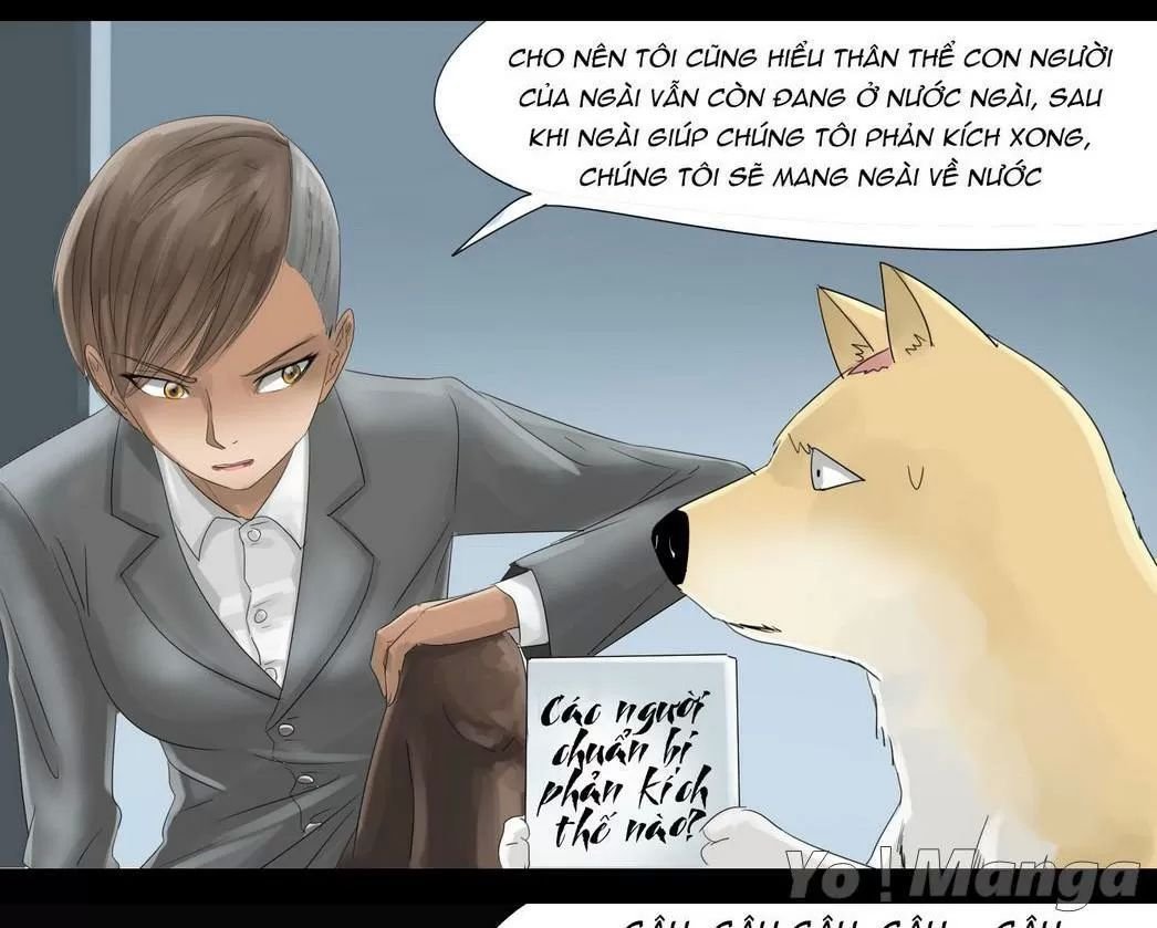 một con chó chapter 33 9
