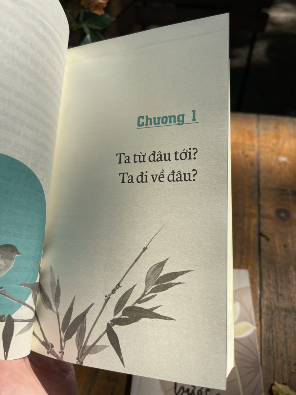 KHÔNG SINH KHÔNG DIỆT ĐỪNG SỢ HÃI – Thích Nhất Hạnh – Chân Huyền dịch -Saigon Books -NXB Thế Giới