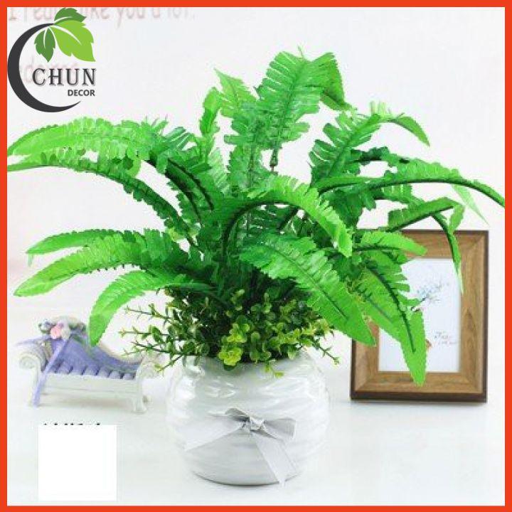 Chậu Cây Rau Má, Chậu Mạ Non Nhân Tạo Để Bàn, Kệ Tủ Trang Trí Nhà Cửa, Cửa Hàng, Văn Phòng, Lớp Học