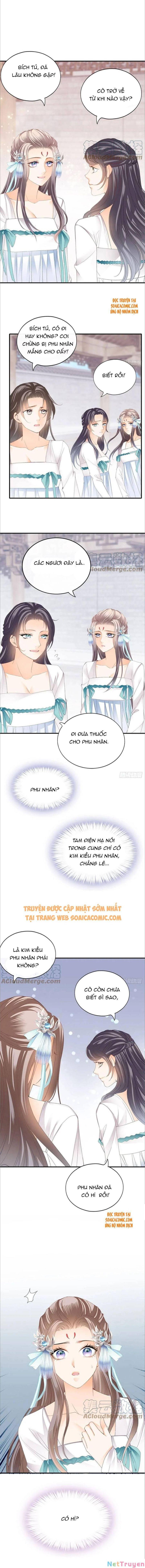 bổn vương muốn nàng chapter 100 2