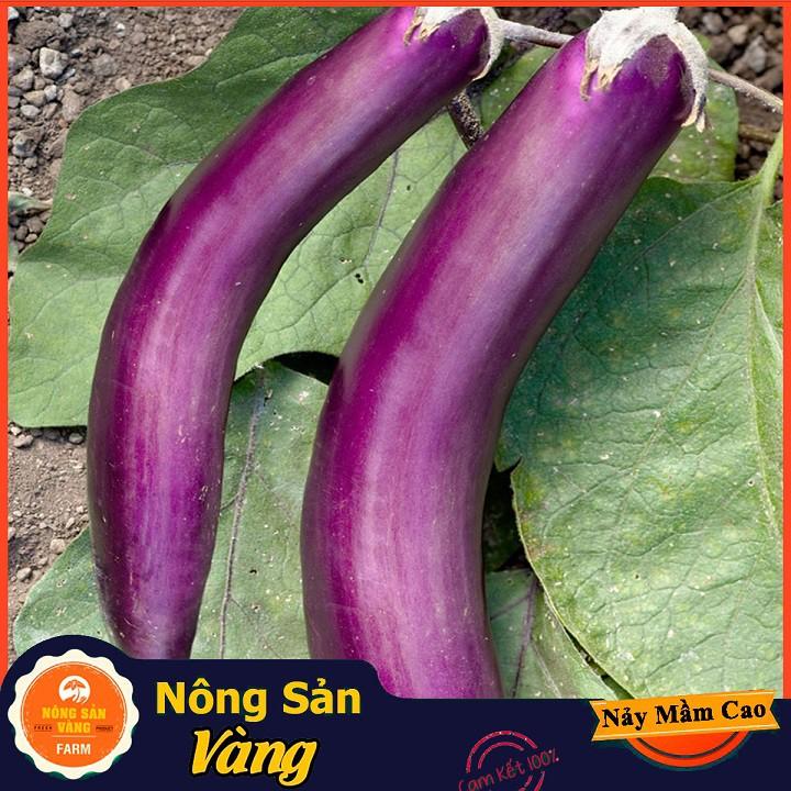 Hạt giống Cà Tim Quả Dài