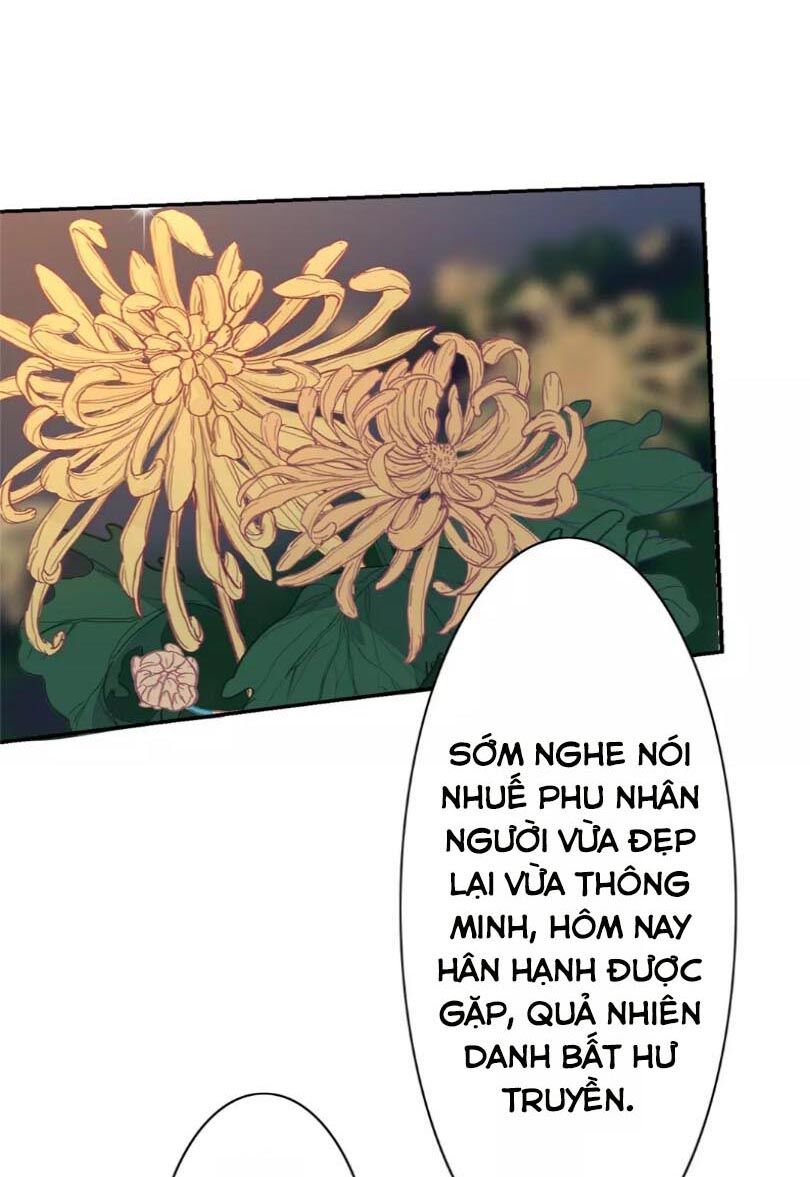 chỉ phu vi thê chapter 31 3