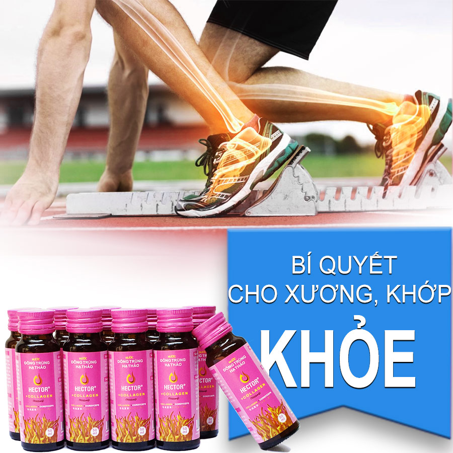 Quà tặng 2 Hộp Nước Đông trùng hạ thảo Hector Collagen (10chai x 50ml) và Nước Đông trùng hạ thảo Hector Sâm (10chai x 50ml)