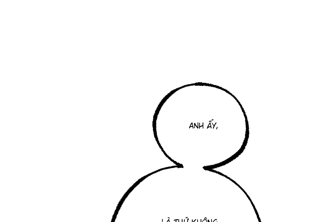 những chú thỏ của hapypy chapter 60 134