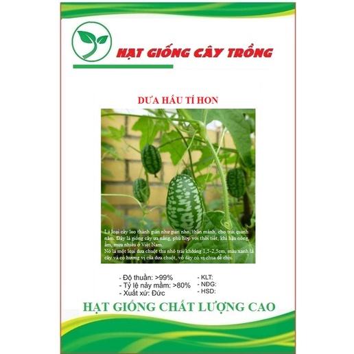 Hạt giống dưa hấu mini  CT499 - Gói 10 hạt