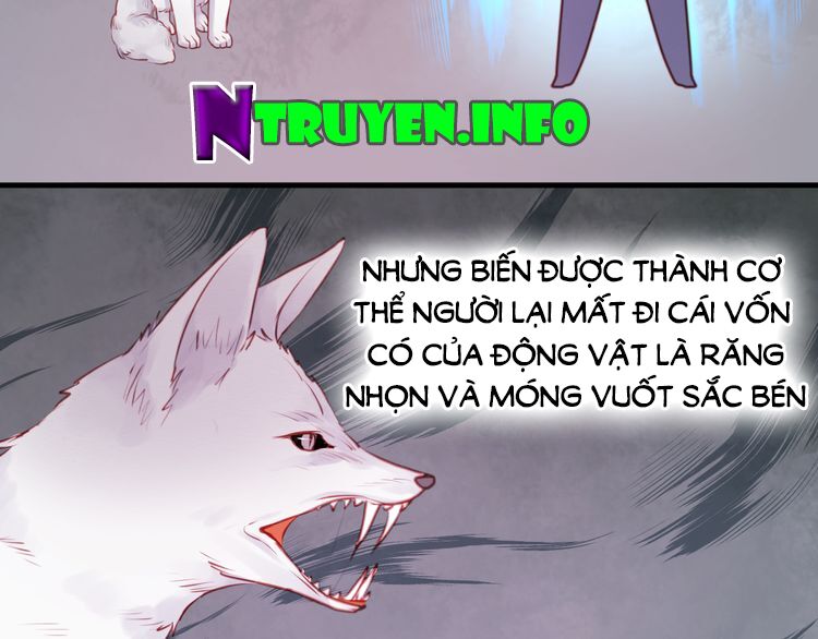 lượm được một tiểu hồ ly phần 1 chapter 48 7