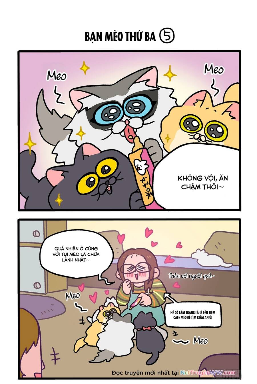 a mãn và mạch trà chapter 141.1 3