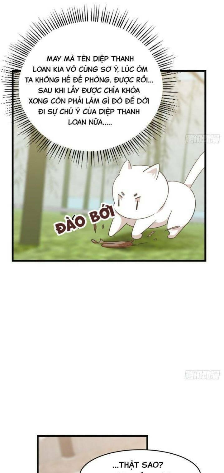 độc bộ thiên hạ: đặc công thần y chapter 185 17