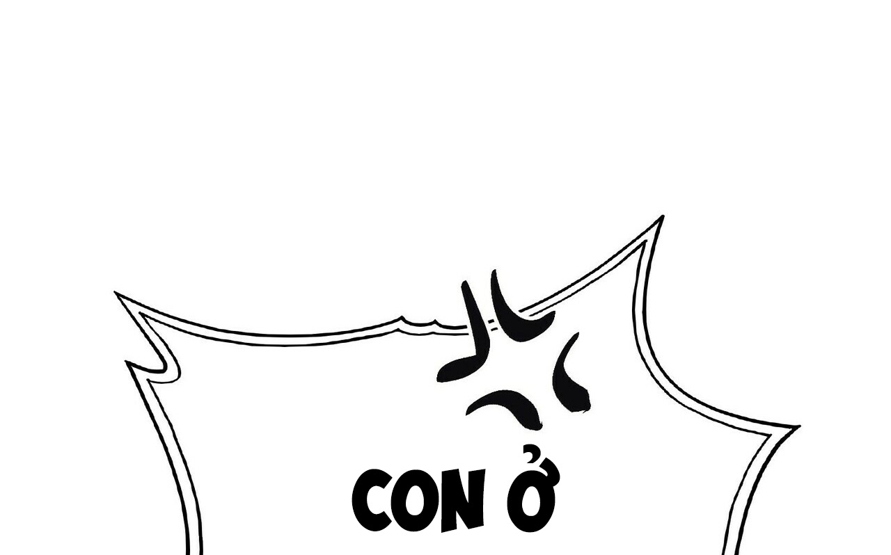 chàng dâu nhà họ kang chapter 3 173