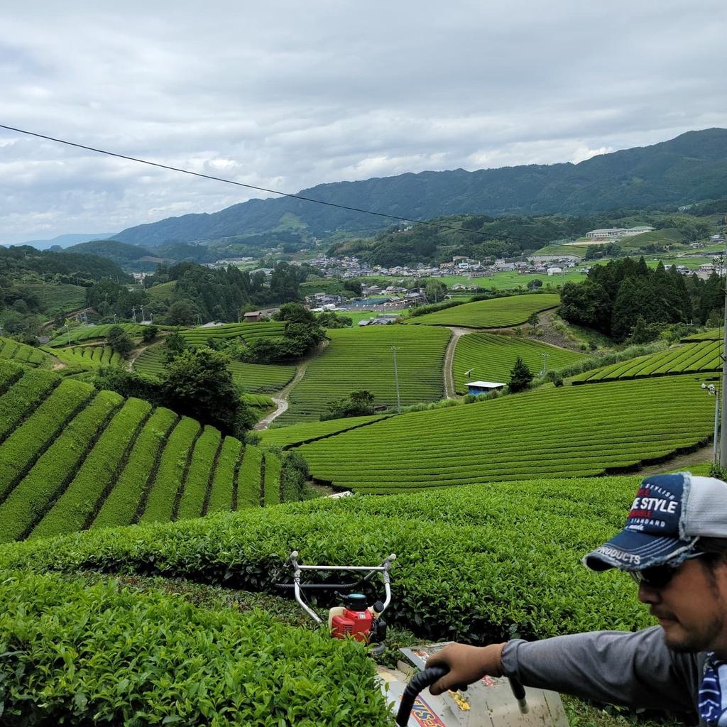 100g Bột Genmaicha Uji Nhật Bản - Chakami no Kaoru | Sản xuất tại Kyoto, Nhật Bản