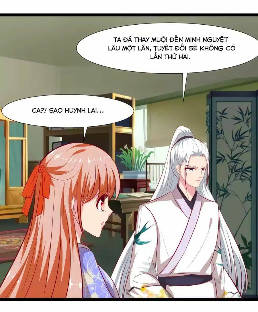 thỏ yêu tiểu vương phi chapter 65 23