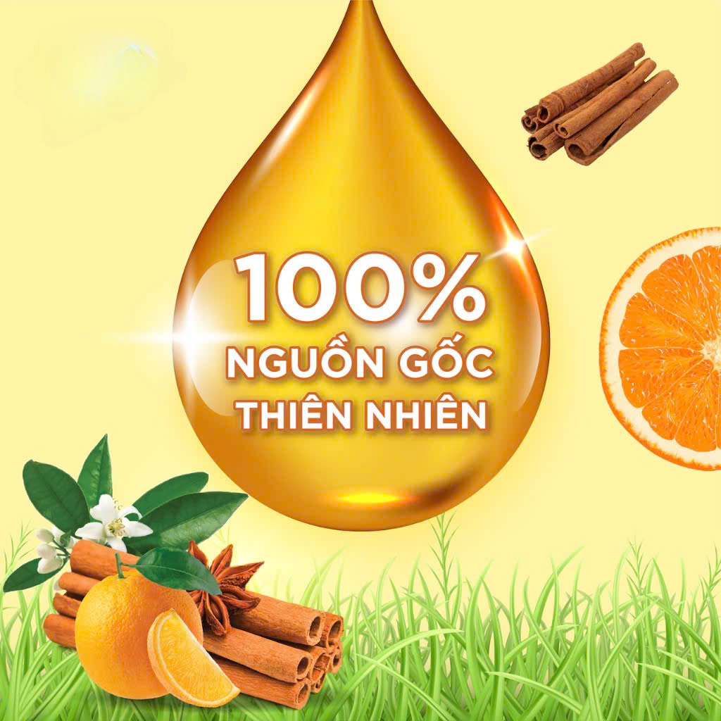Nước Lau Sàn Gốc Thực Vật TD CAM QUẾ Đuổi Muỗi và Côn Trùng (Thuộc nhóm Sản phẩm Lành tính) Can 1 lít