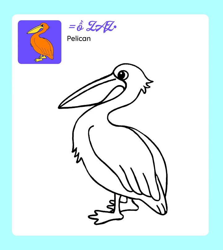 Sách - Tớ Tự Tô: Xứ Sở Chim Muông