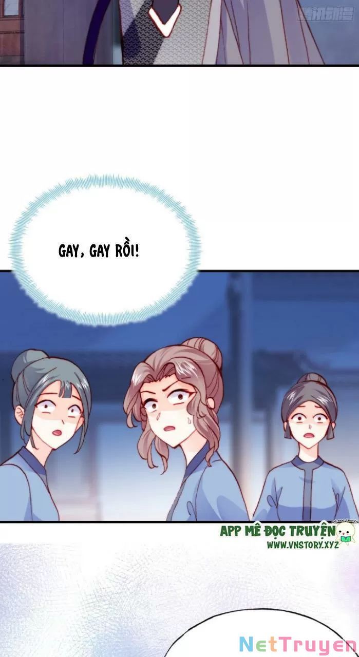 lại bị bệnh chiều chuộng quấn lấy chapter 31 47