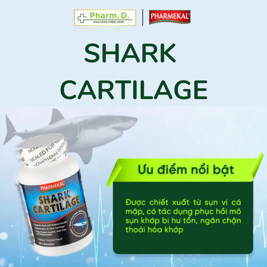 Viên Uống Giảm Đau, Hỗ Trợ Phục Hồi Cấu Trúc Sụn Khớp PHARMEKAL Shark Cartilage Sụn Cá Mập (60 Viên)