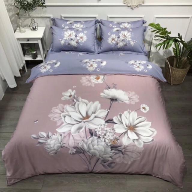 Set Ga Gối Cotton Organic Hàng Nhập Khẩu Cao CẤp 4 Món