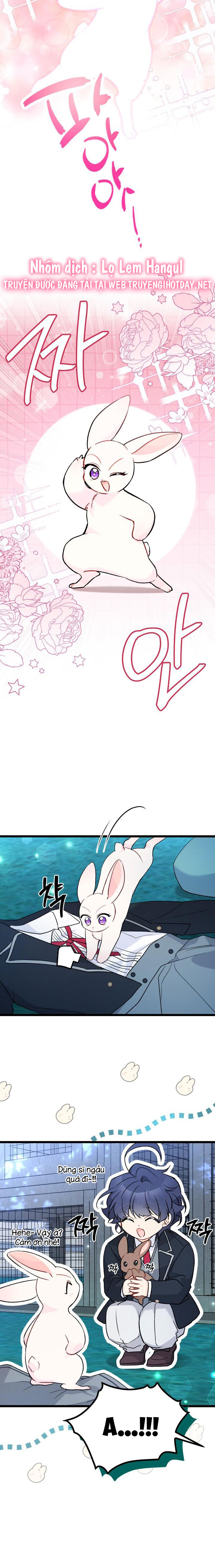 mối liên kết giữa báo đen và bé thỏ chapter 129 12