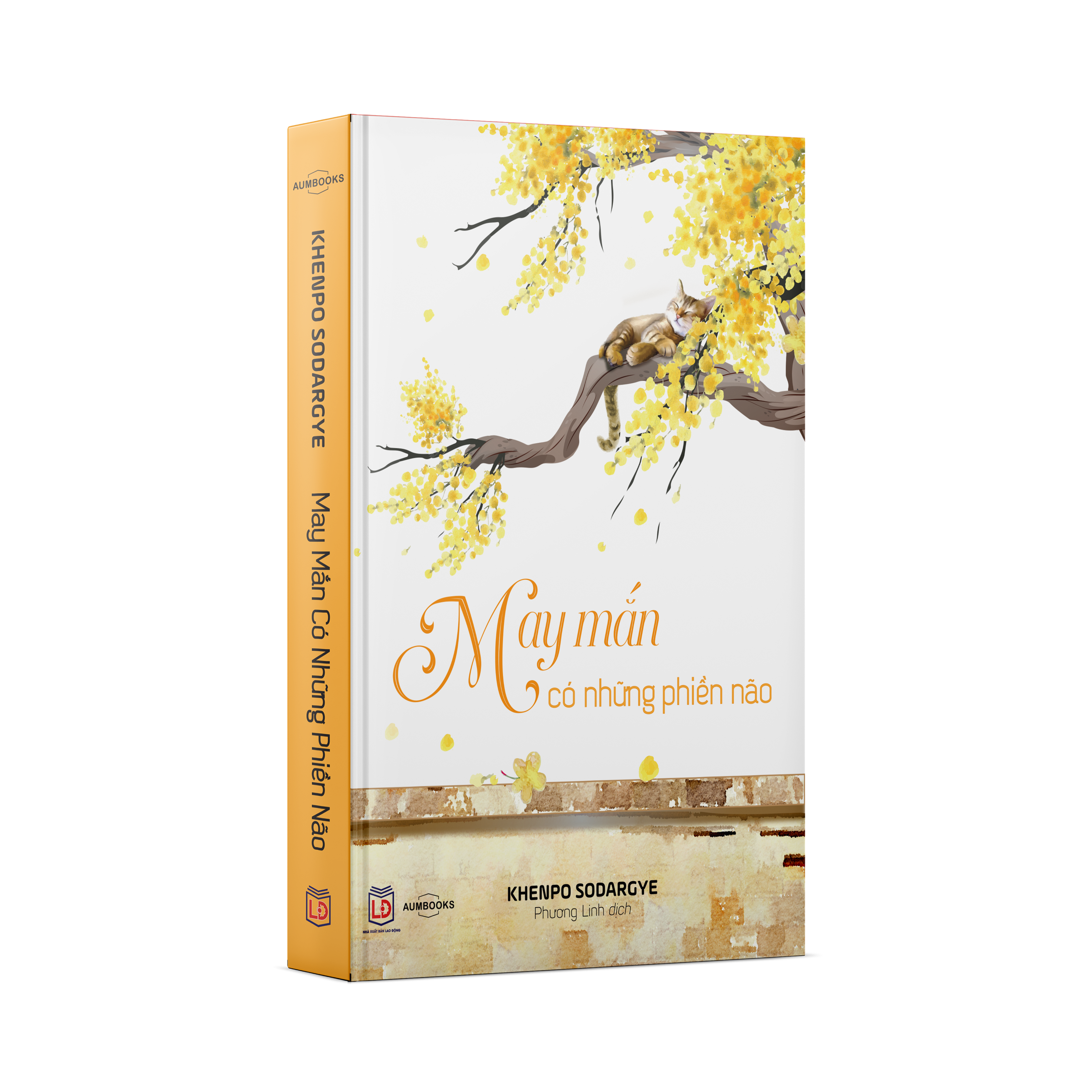 Sách May Mắn Có Những Phiền Não - Sách tôn giáo, nghệ thuật văn hóa, tác giả KHENPO SODARGYE - Á Châu Books, bìa mềm, in màu