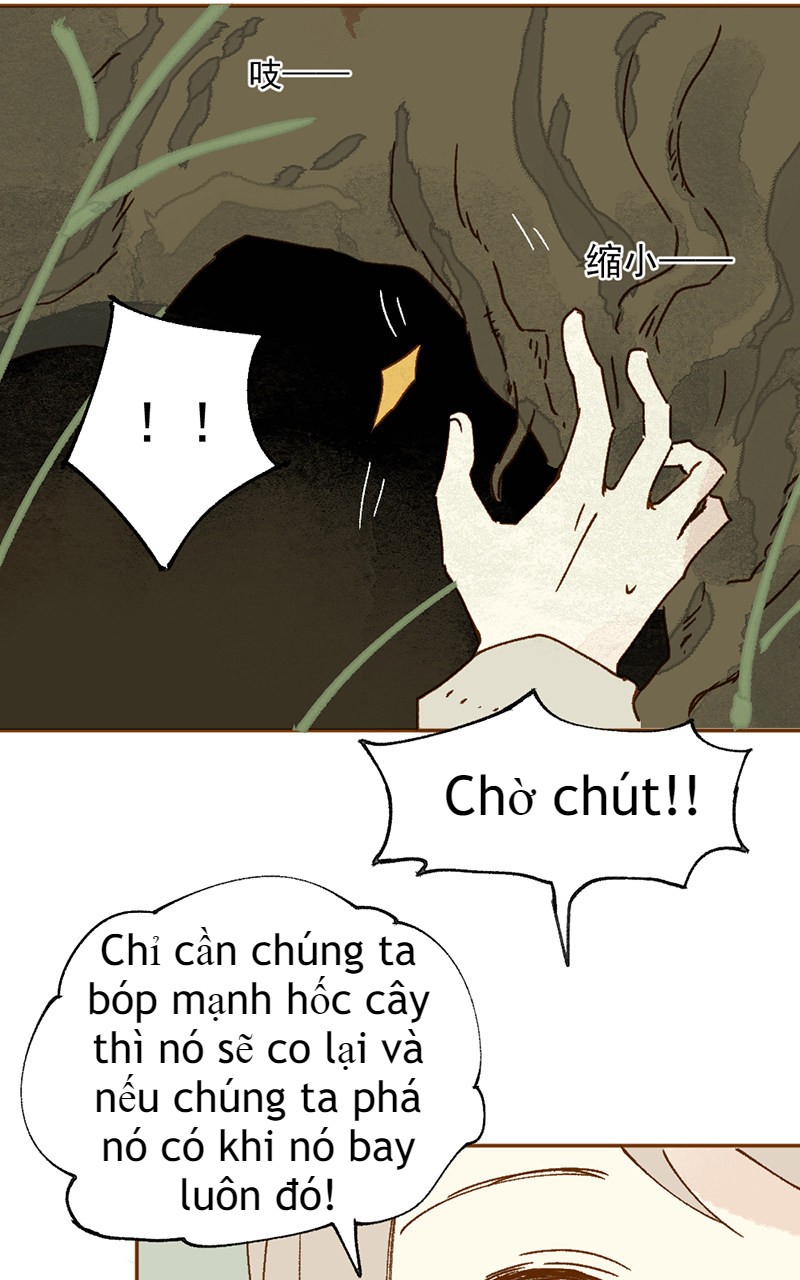 câu chuyện tình yêu kỳ lạ chapter 2 48